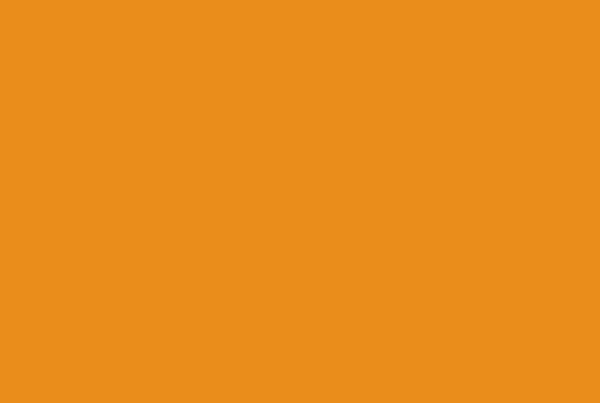 RTVE Background
