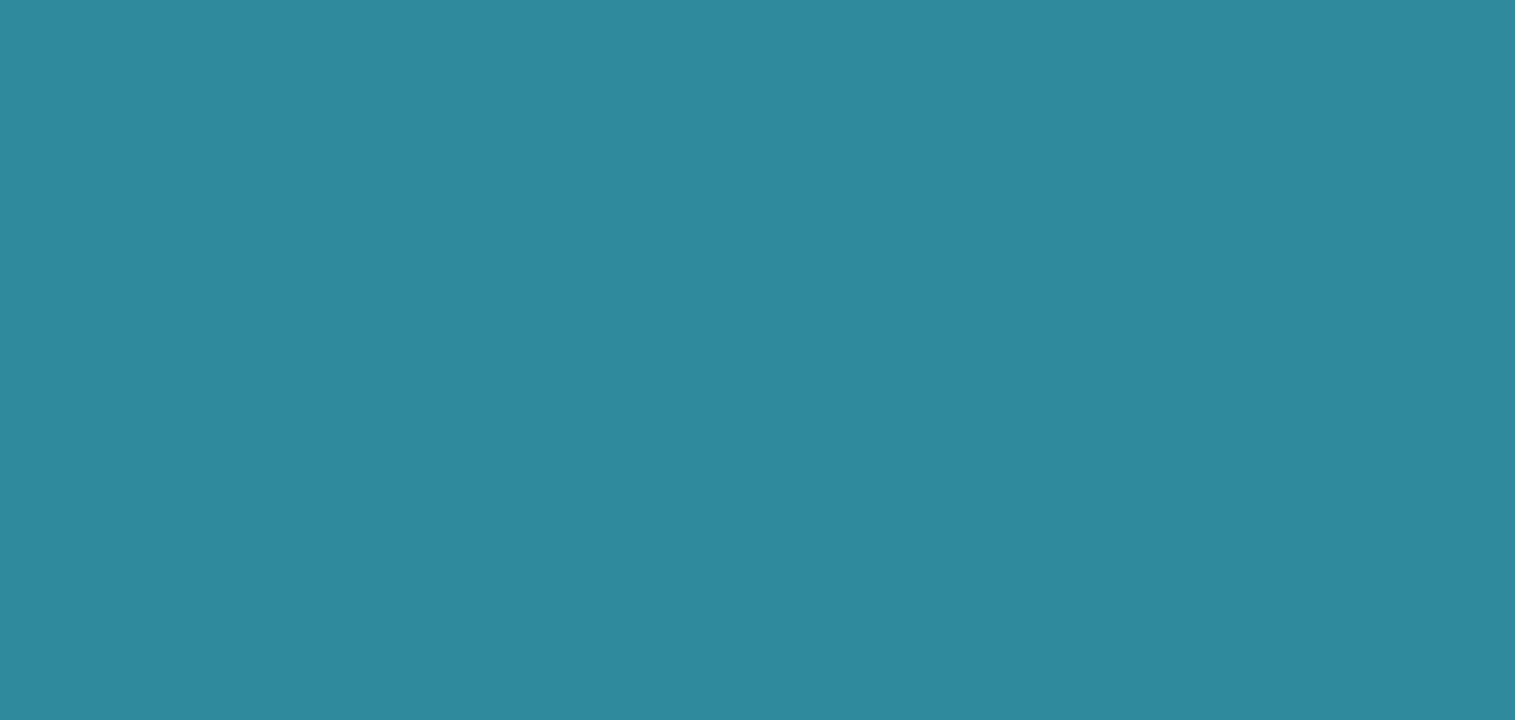 BBVA Background